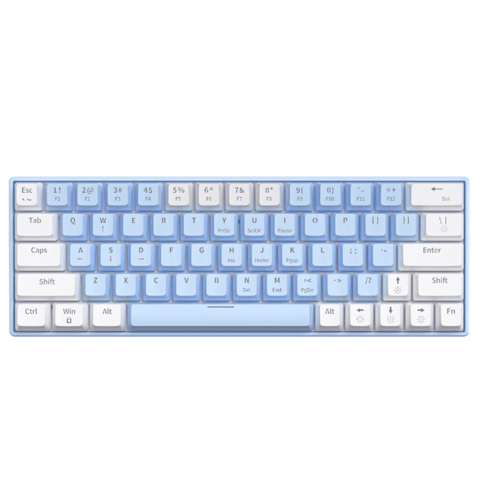 T62 (63 Keys) Mechanical Keyboard, RGB Backlit, Hot-swappable, White & Light (Blue switches)