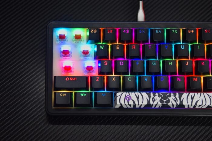 Golden Lion GM68 65% Hot-Swappable 3-Pin Full RGB Lighting USB-C VIA Interface Red/Silver Switches Compact Gaming Keyboard (black) – Image 13