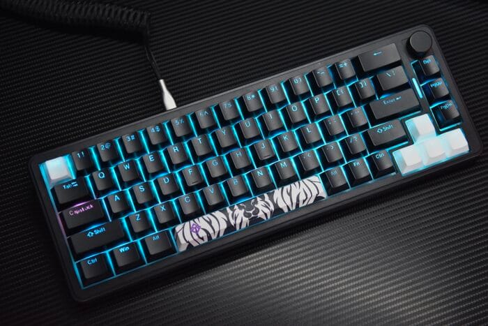 Golden Lion GM68 65% Hot-Swappable 3-Pin Full RGB Lighting USB-C VIA Interface Red/Silver Switches Compact Gaming Keyboard (black) – Image 15