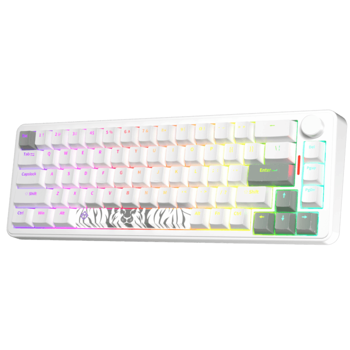 Golden Lion GM68 65% Hot-Swappable 3-Pin Full RGB Lighting USB-C VIA Interface Red/Silver Switches Compact Gaming Keyboard (white) – Image 2