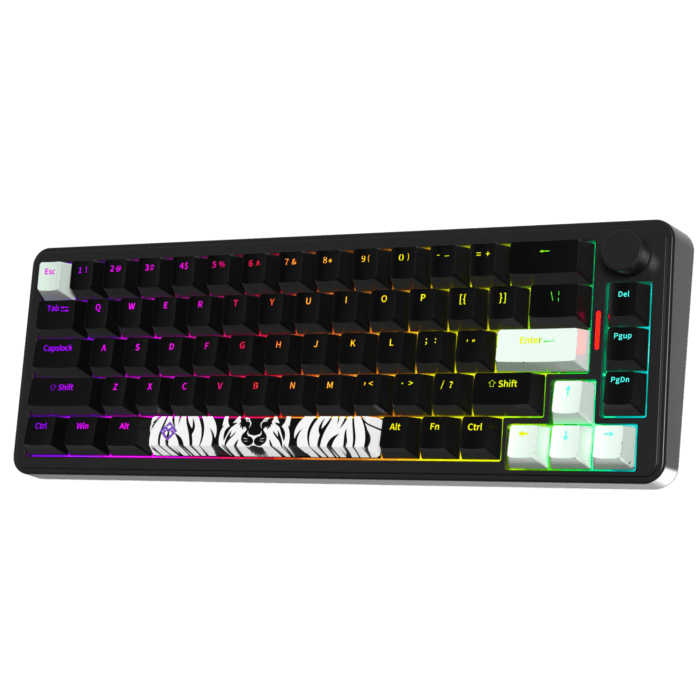 Golden Lion GM68 65% Hot-Swappable 3-Pin Full RGB Lighting USB-C VIA Interface Red/Silver Switches Compact Gaming Keyboard (black) – Image 2