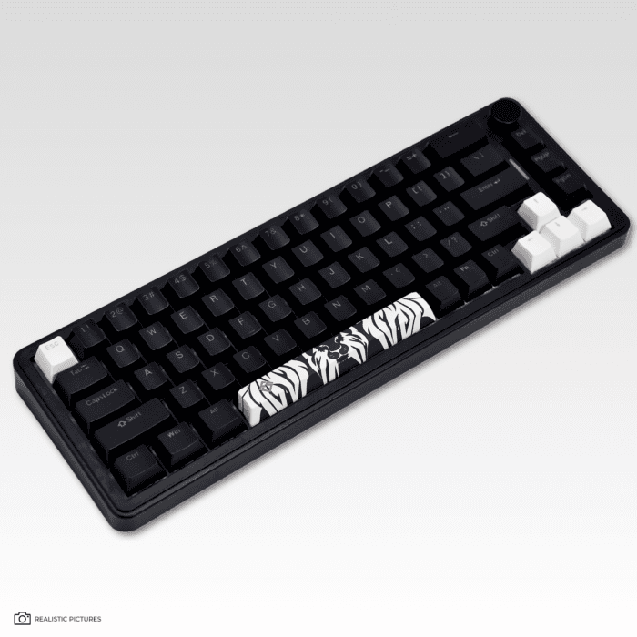 Golden Lion GM68 65% Hot-Swappable 3-Pin Full RGB Lighting USB-C VIA Interface Red/Silver Switches Compact Gaming Keyboard (black) – Image 16