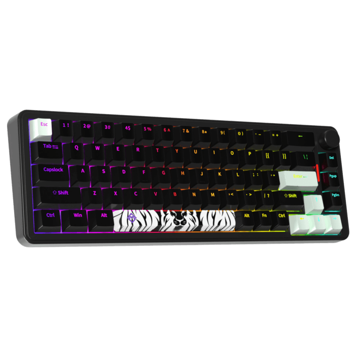 Golden Lion GM68 65% Hot-Swappable 3-Pin Full RGB Lighting USB-C VIA Interface Red/Silver Switches Compact Gaming Keyboard (black) – Image 4