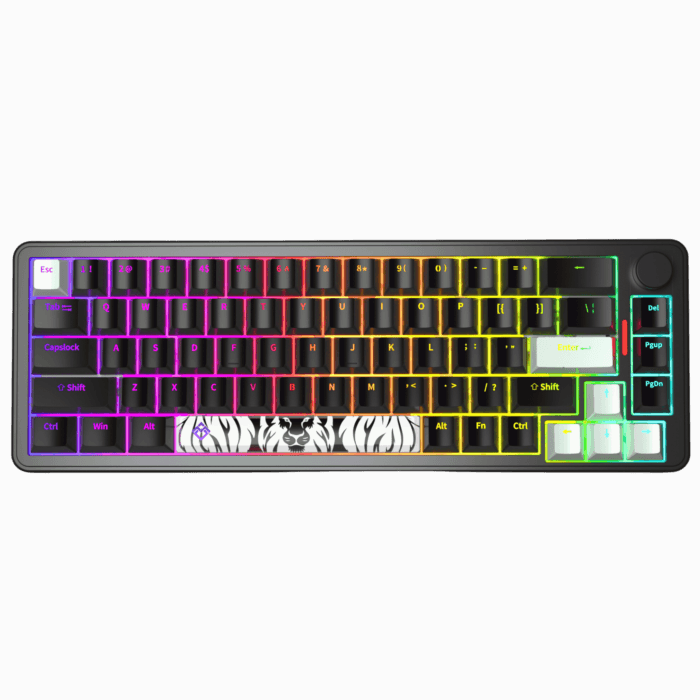 Golden Lion GM68 65% Hot-Swappable 3-Pin Full RGB Lighting USB-C VIA Interface Red/Silver Switches Compact Gaming Keyboard (black) – Image 3