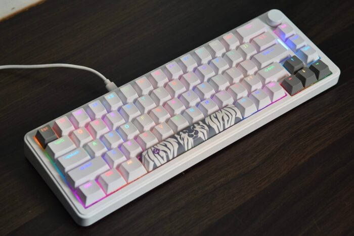 Golden Lion GM68 65% Hot-Swappable 3-Pin Full RGB Lighting USB-C VIA Interface Red/Silver Switches Compact Gaming Keyboard (white) – Image 8