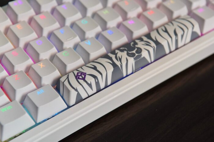 Golden Lion GM68 65% Hot-Swappable 3-Pin Full RGB Lighting USB-C VIA Interface Red/Silver Switches Compact Gaming Keyboard (white) – Image 9