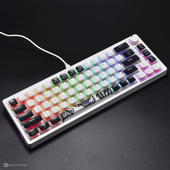 Golden Lion GI68 65% Hot-Swappable Mechanical Keyboard - Full RGB Lighting, USB-C, Red Outemu Switches, Compact Gaming Keyboard (white) – Image 10