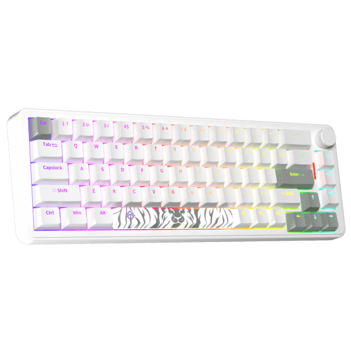 Golden Lion GM68 65% Hot-Swappable 3-Pin Full RGB Lighting USB-C VIA Interface Red/Silver Switches Compact Gaming Keyboard (white) – Image 4