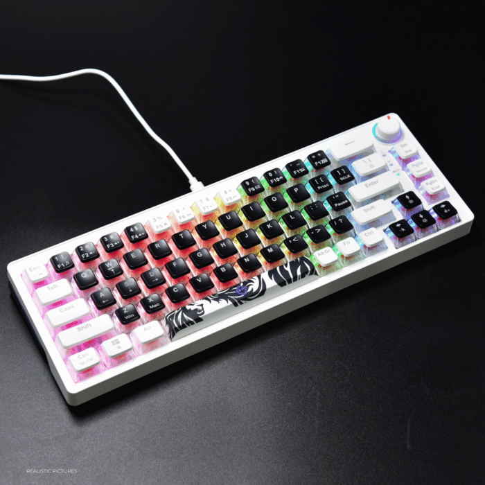 Golden Lion GI68 65% Hot-Swappable Mechanical Keyboard - Full RGB Lighting, USB-C, Red Outemu Switches, Compact Gaming Keyboard (black) – Image 9