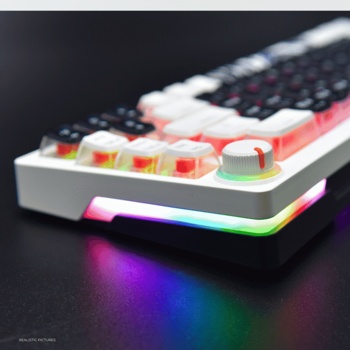 Golden Lion GI68 65% Hot-Swappable Mechanical Keyboard - Full RGB Lighting, USB-C, Red Outemu Switches, Compact Gaming Keyboard (black) – Image 14