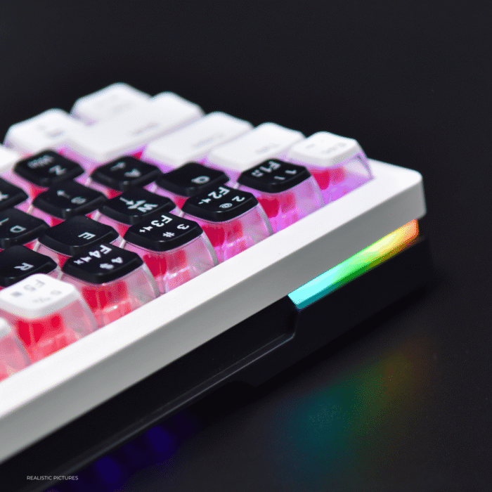 Golden Lion GI68 65% Hot-Swappable Mechanical Keyboard - Full RGB Lighting, USB-C, Red Outemu Switches, Compact Gaming Keyboard (black) – Image 15