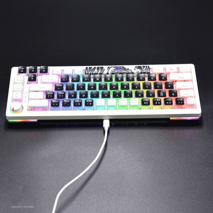 Golden Lion GI68 65% Hot-Swappable Mechanical Keyboard - Full RGB Lighting, USB-C, Red Outemu Switches, Compact Gaming Keyboard (black) – Image 13