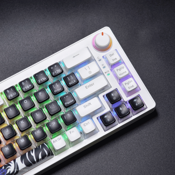 Golden Lion GI68 65% Hot-Swappable Mechanical Keyboard - Full RGB Lighting, USB-C, Red Outemu Switches, Compact Gaming Keyboard (black) – Image 11