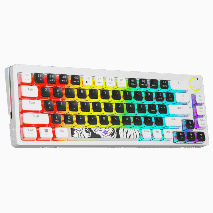 Golden Lion GI68 65% Hot-Swappable Mechanical Keyboard - Full RGB Lighting, USB-C, Red Outemu Switches, Compact Gaming Keyboard (black) – Image 4