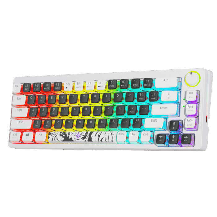 Golden Lion GI68 65% Hot-Swappable Mechanical Keyboard - Full RGB Lighting, USB-C, Red Outemu Switches, Compact Gaming Keyboard (black) – Image 2