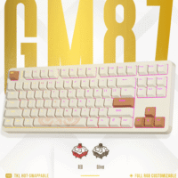Golden Lion GM87 TKL Hot-Swappable Mechanical Keyboard with Full RGB Lighting, USB-C VIA Interface, and Red/Silver Switch Options